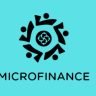 Micro Finance Company Ltd 2024: Definition, Benefits, History, and How It Works