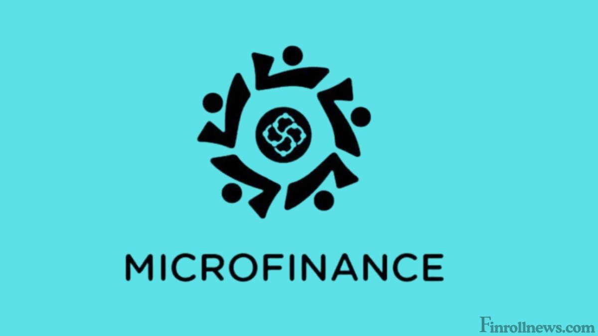 Micro Finance Company Ltd 2024: Definition, Benefits, History, and How It Works