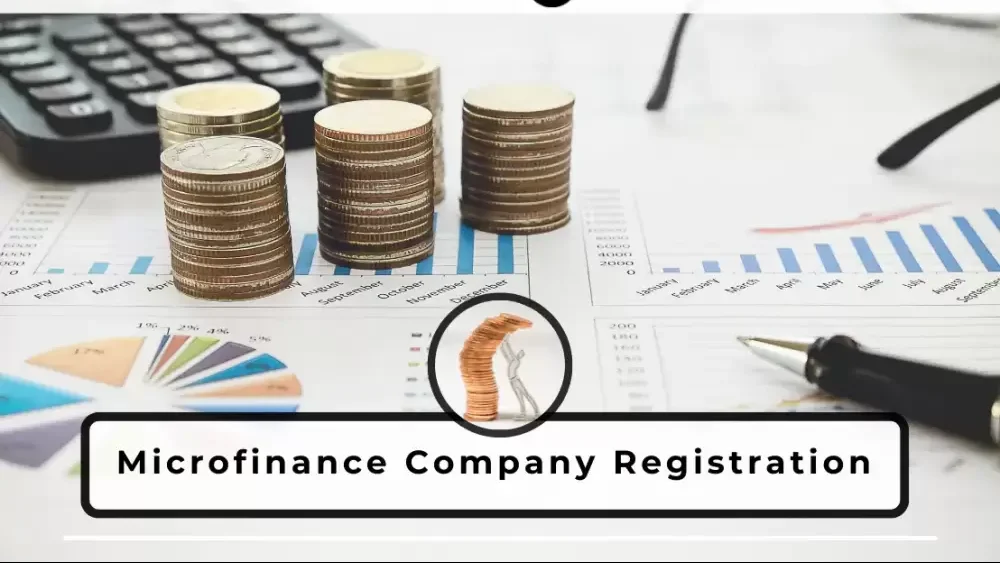 Top 10 MicroFinance Company in India 2024