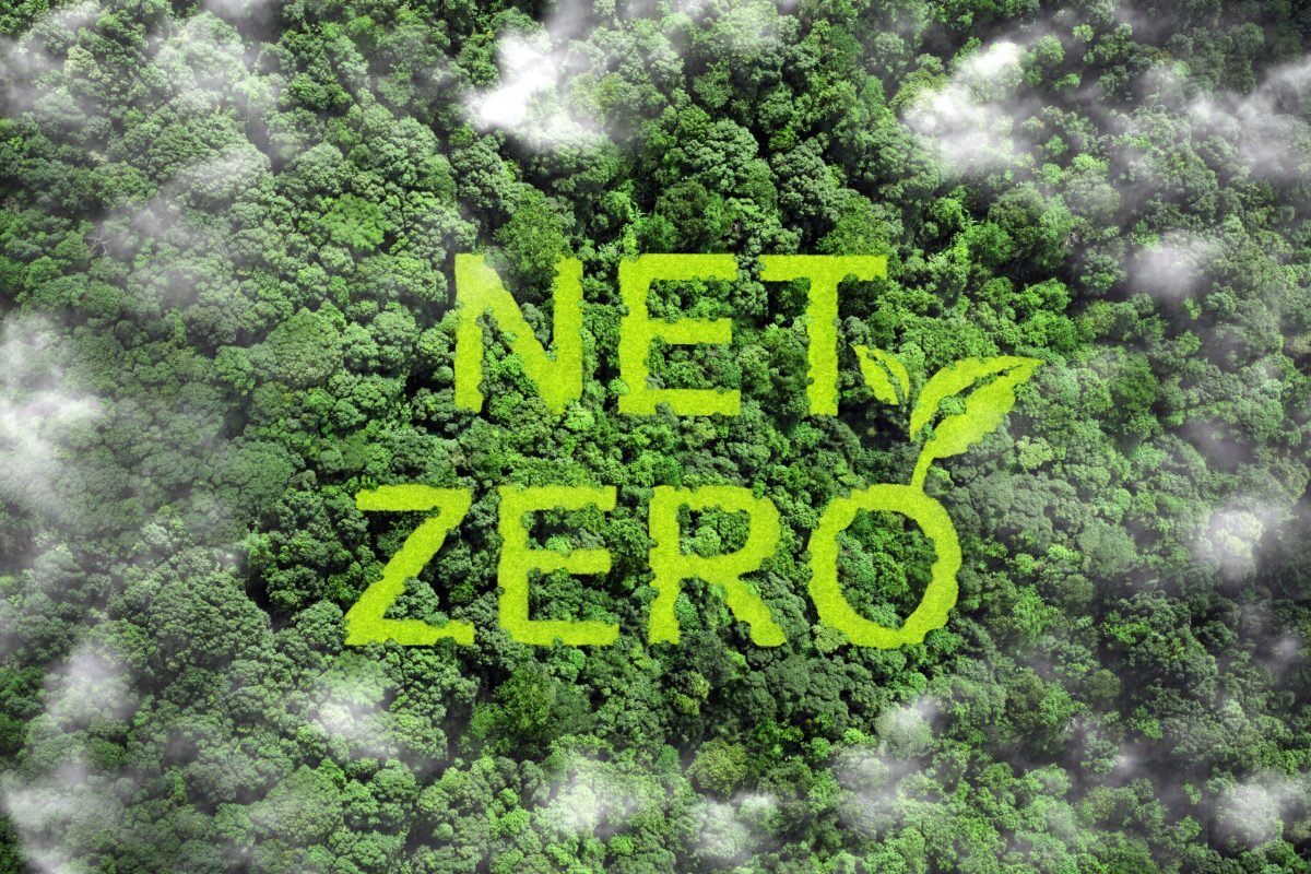 Navigating Net-Zero Investing Benchmarks, Incentives, and Time Horizons